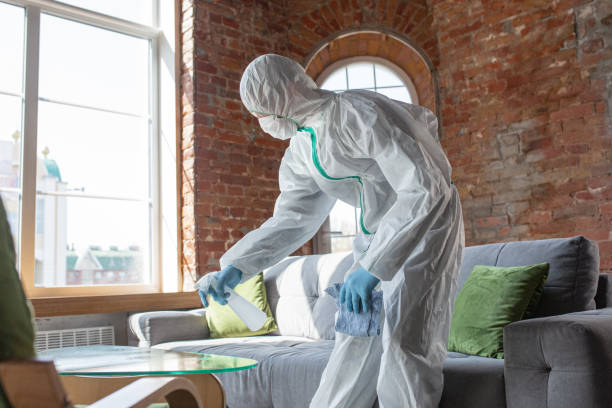 Best Environmental Consulting for Mold Prevention  in Nazareth, PA