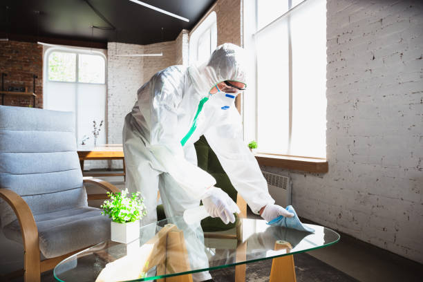 Best Industrial Mold Remediation  in Nazareth, PA